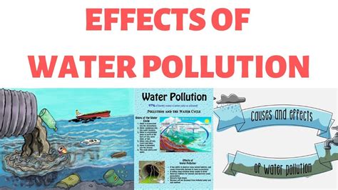 Effects Of Water Pollution On Humananimal Health Bod
