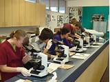 Microscopes For Middle School Students Photos
