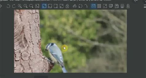 23 Best Image Viewer Software To Download 2023