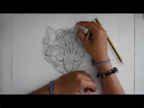 Come disegnare zaino kawaii passo dopo passo disegni kawaii. Speedpaint - Ritratto a matita di un gatto - Disegno ...