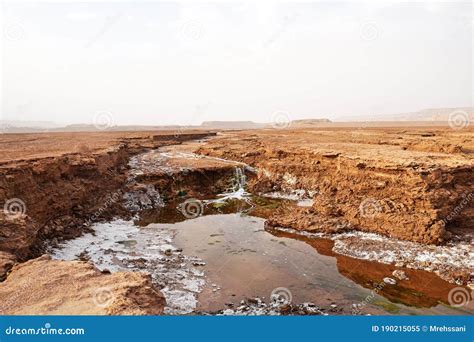 Landscape Of Shur River In Lut Desert Kerman Iran Stock Image