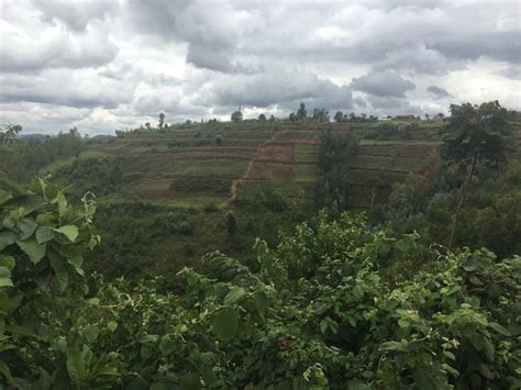 Bekijk deze stockfoto van rwanda landscape. kibeho rwanda landscape - Google Search | Landscape ...