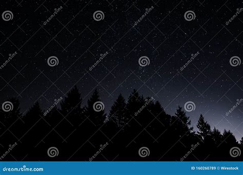 Beautiful Silhouette Shot Of Trees Under A Starry Night Sky Stock Image