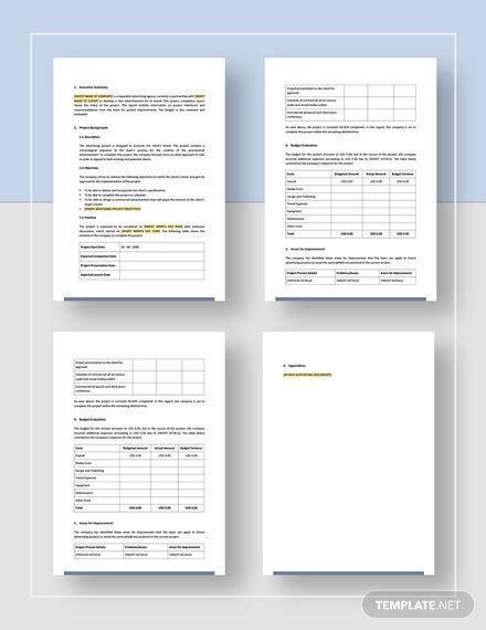 Project Completion Report Template Classles Democracy