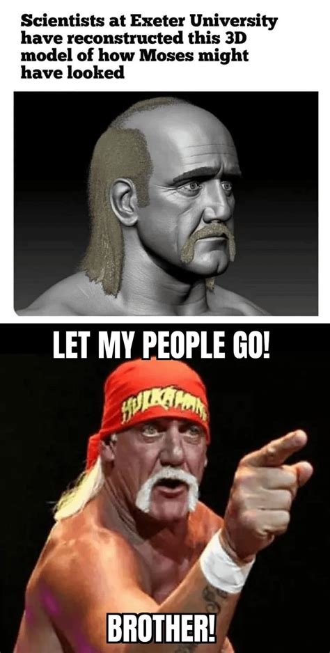 Hulk Hogan 24 Inch Pythons Meme