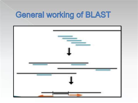 0:00 introduction0:59 fasta sequence format2:28 ncbi blast5:48 using accession numbers as blast queries (huntingtin as example)7:07 nucleotide sequence. Blast and fasta