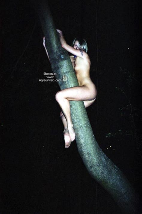 Girl On A Tree August 2003 Voyeur Web Hall Of Fame