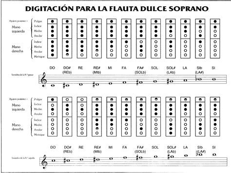 Aprende A Tocar La Flauta Dulce En 10 Pasos Tecno Educare Paideia