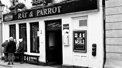 Photograph Rat And Parrot Pub London By Rich Sustich On 500px
