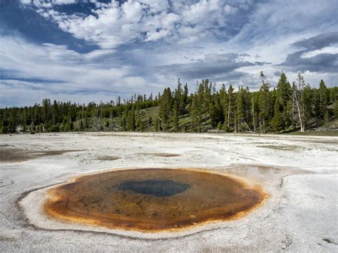 Chromatic Pool In The Norris Geyser Basin Area Yellowstone National