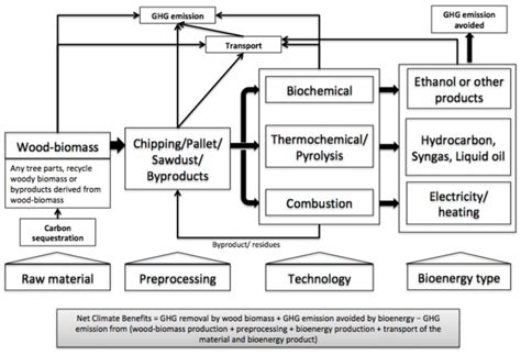 Woody Biomass Bioenergy Pathways Including Steps From Production