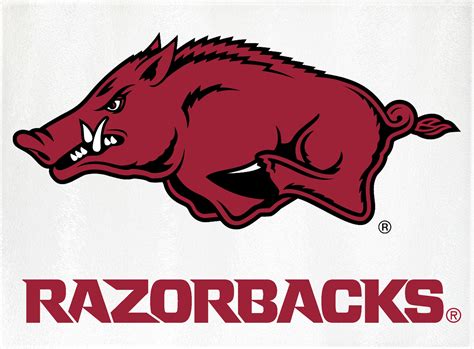 Arkansas Razorback Images Free Download And Use 10 Arkansas Razorbacks