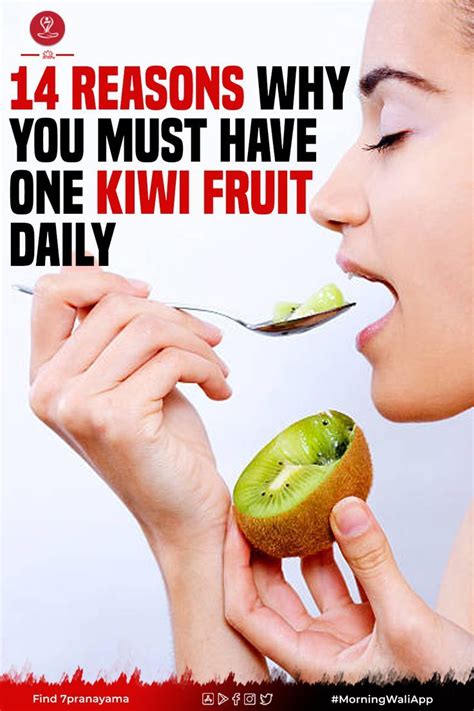 Kiwi Fruit Drink Kiwi Juice Fruit Detox Kiwi Fruit Benefits Kiwi