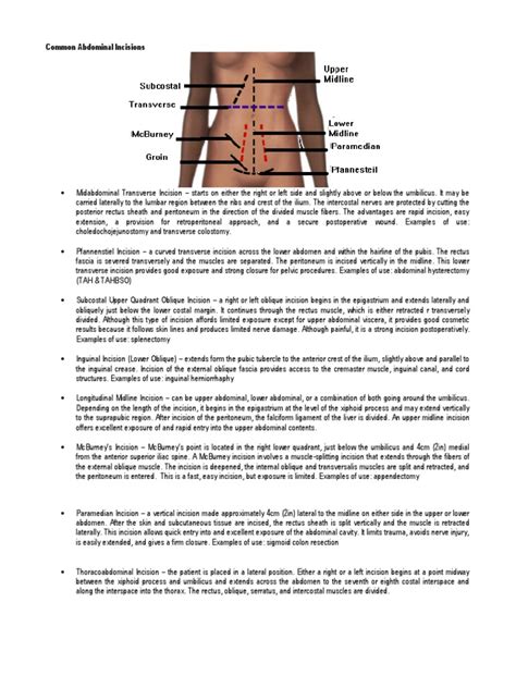 Common Abdominal Incisions Pdf Abdomen Human Anatomy