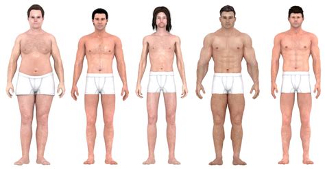 La Evolución Del Estereotipo De Cuerpo Perfecto Masculino En Los