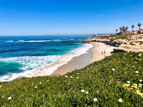 Top 20 Free Things To Do In La Jolla Ca San Diegos Jewell • Window