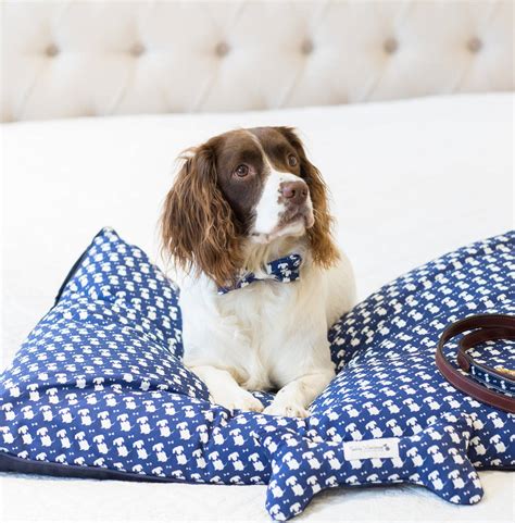 Signature Dog Bed Cushion By Teddy Maximus