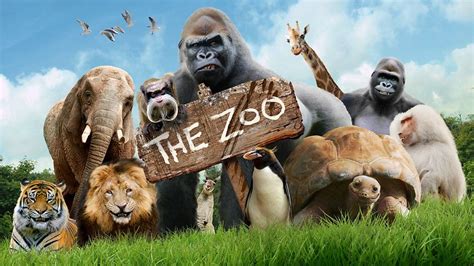 The Zoo Radio Times
