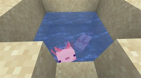Dónde Encontrar Axolotls En Minecraft Abctechnews