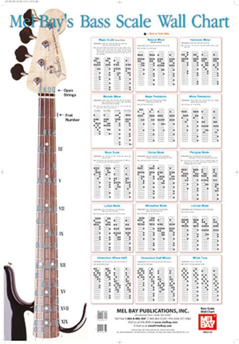 5 String Bass Fretboard Chart