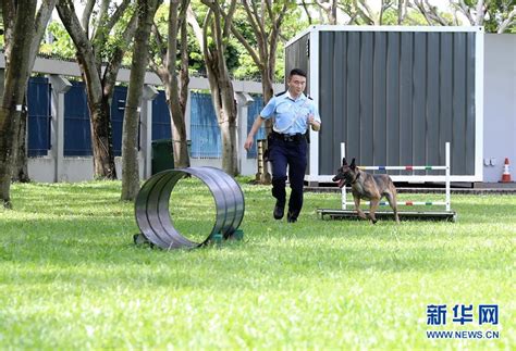 Search for text in self post contents. 香港警犬队领犬员和他的"家人"（8）_国内_天下_新闻中心_台海网