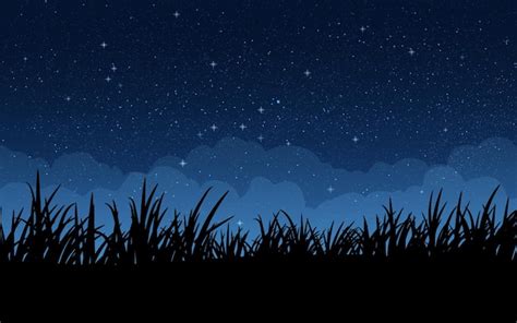 Night Starry Sky Field Images Free Download On Freepik