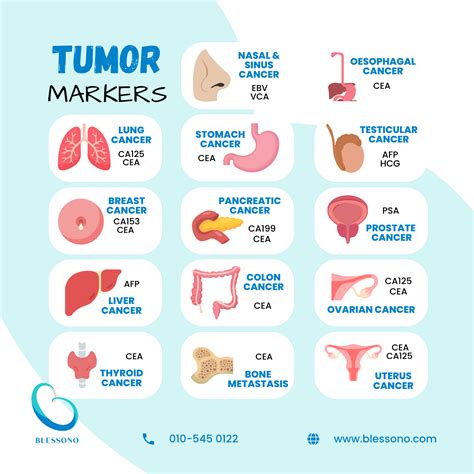 Cancer Marker Test Full Body Check Up Health Screening Malaysia