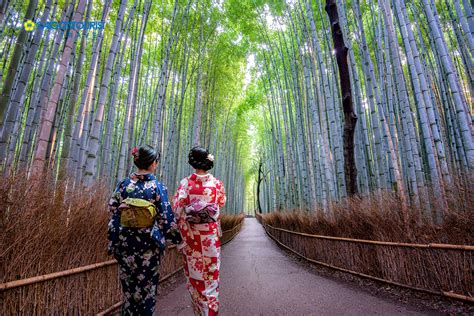 Saigontourist Du Lịch Nhật Bản Osaka Kyoto Vườn Trái Cây Núi