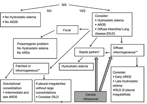 Algorithmic Approach For The Ultrasound Diagnosis Of Ards The Presence Download Scientific