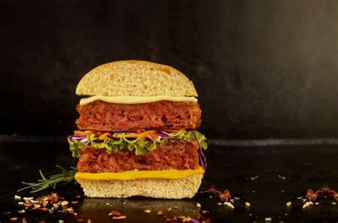Aprenda a fazer hambúrguer gourmet vegano Novo Momento