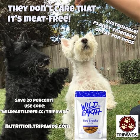 Cesar filets is considered one of the worst dog foods because of its high salt content (we covered the best low sodium dog food options). A Wild Way to Avoid Pet Food Recalls (and Save Money Doing ...