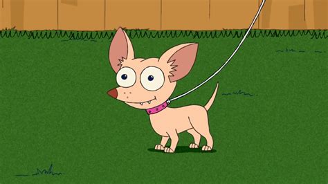 Pinky A Chihuahua Phineas E Ferb Wiki Fandom Powered By Wikia