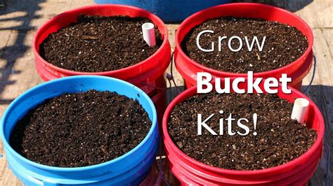 How To Start A Garden In A 5 Gallon Bucket Starting A Garden Organic
