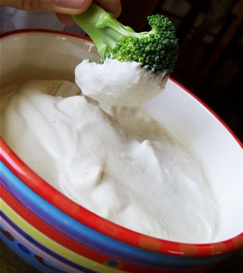 Maybe you would like to learn more about one of these? Dairy-Free Sour Cream - Quirky Cooking