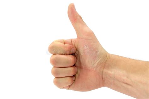 Thumbs Up Stock Photo Image Of Succes Positive Sign 3282064