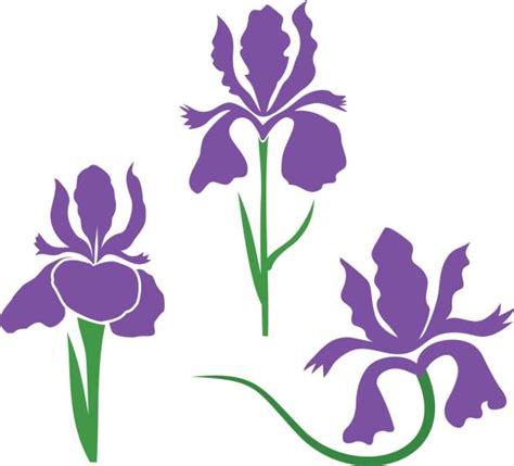 Iris Clip Art Vector Images And Illustrations Istock