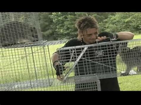 They almost instantly kill a woodchuck that tries to move through it. A & E - The Exterminators Trap Talk - YouTube