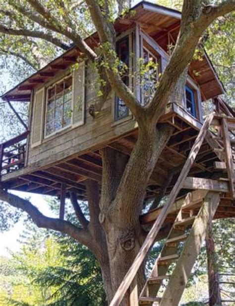 These houses provide a comfortable means of stand you may also wish to add a 2 x 4 railing for protection when using the steps. Shooting house for deer hunting. | Tree house designs, Tree house, Cool tree houses