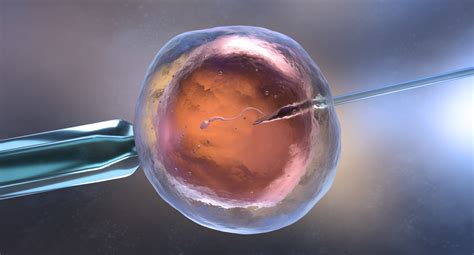 Iui Vs Ivf Success Rates Fertility Centers Of New England