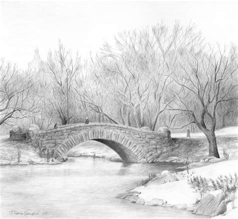 Winter Walk Drawing By Diane Cardaci