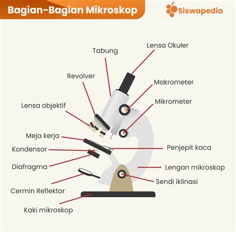 Bagian Bagian Mikroskop Beserta Fungsinya Lengkap Teknikece The Best