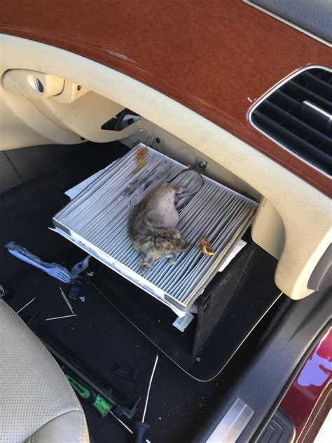 Check spelling or type a new query. What's that smell in my car? The cabin air filter's job is ...