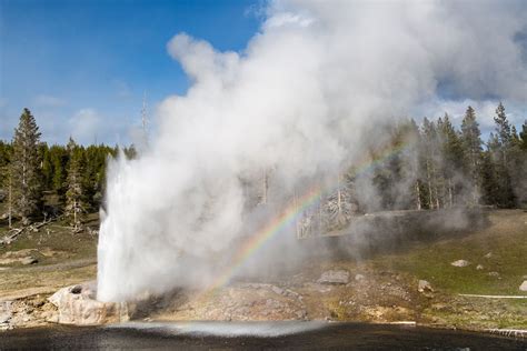 Riverside Geyser With A Rainbow In Yellowstones Upper Geyser Basin