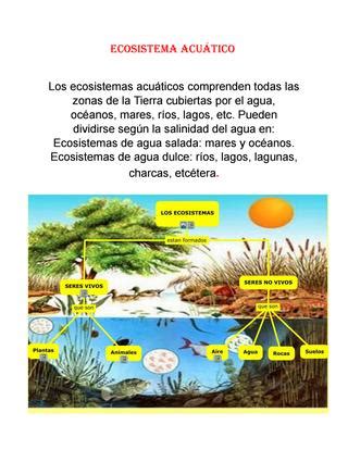 ¿qué es un ecosistema marino? Ecosistema acuático by cris123 - Issuu