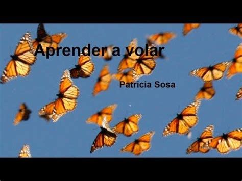 Download aprender a volar by patricia sosa free. Aprender a volar- Patricia Sosa | Volar, Aprender a ...