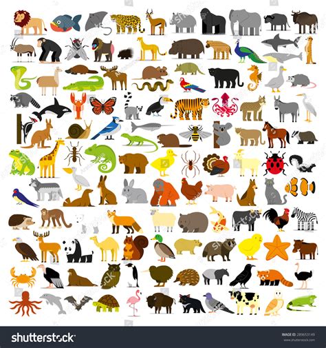 Vector Set Of Cartoon Different Animals Isolated 289653149 Shutterstock