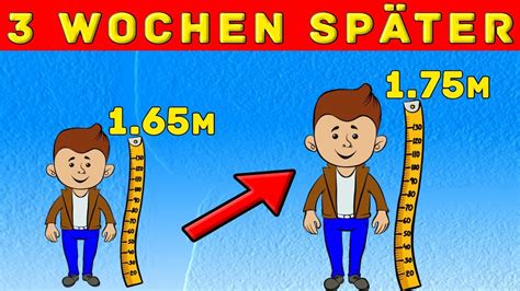 Wie nimmt man ab und und wie griekt man gleich zeitig bauch muskeln. Was muss man machen um zu wachsen. Muskeln aufbauen: XXL ...