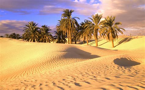 Tunisian Desert Dotcave