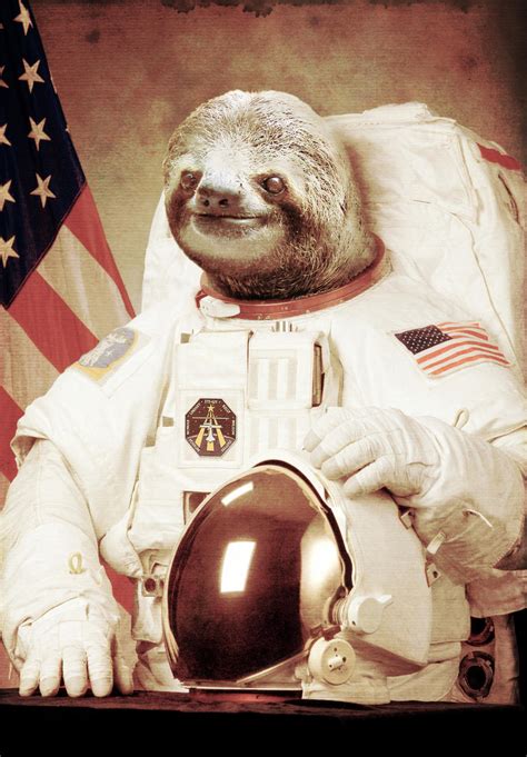 Sloth On The Moon By Bakus Design On Deviantart