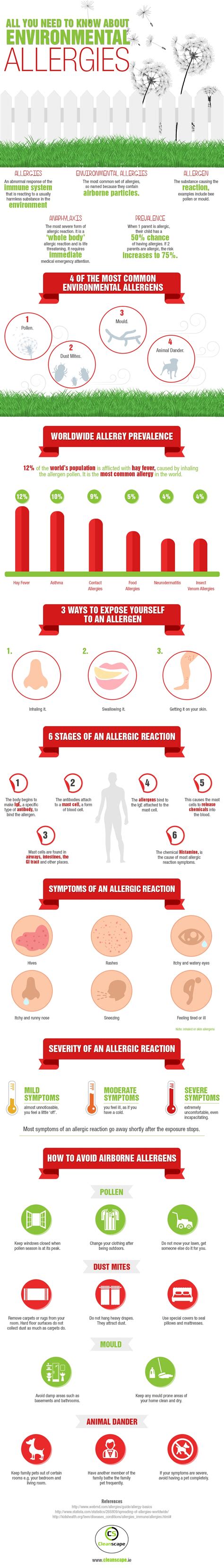Infographic All You Need To Know About Environmental Allergies